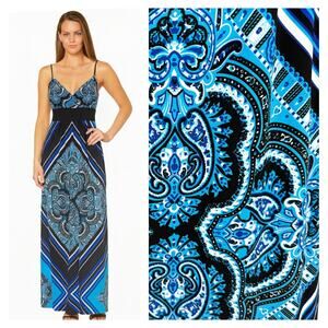 Muse Boston Proper Smocked Empire Waist Maxi Dress 8 Paisley Blue Black Padded